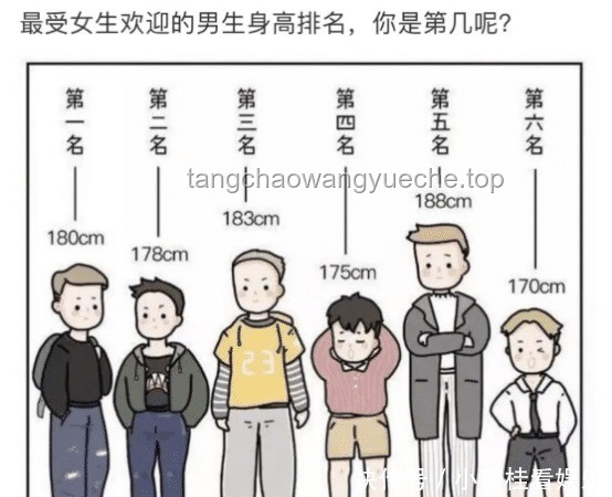 2025年男生最喜欢的女生身高排名趋势预测